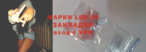 индика Аркадак