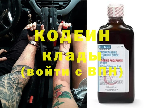 индика Аркадак