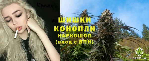 индика Аркадак
