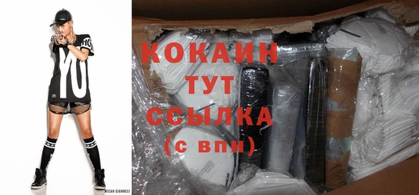 индика Аркадак
